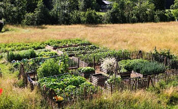 bauerngarten.jpg