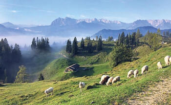 Mit-mulmigem-Gefuehl-auf-die-Alm