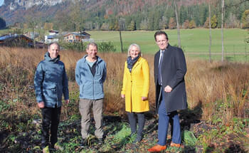 Fichtenwald-durch-Moor-ersetzt