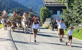 Trotz-Wolfsrissen-guter-Sommer