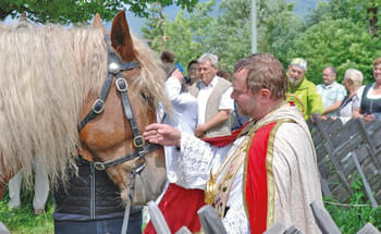 Hochwuerden-hoch-zu-Ross