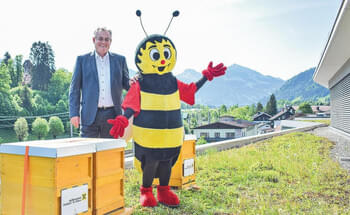 Raiffeisen-Bienen-im-Anflug