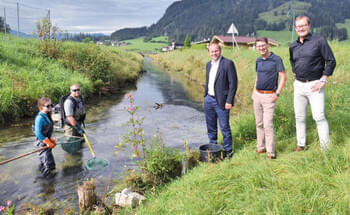 Ein-Viertel-der-Fische-ist-infiziert