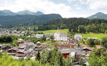 Gruene-fordern-haertere-Kontrollen