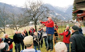 Gaschtler-und-Imker-feiern-Jubilaeum