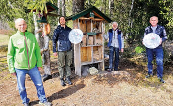 Modernes-Heim-fuer-Insekten