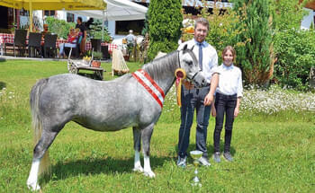 Ponys-in-Erpfendorf-praesentiert