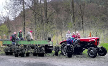 Die-Schule-in-den-Wald-verlegt